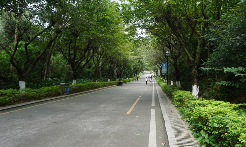 PTI十月活动-重阳登高莲花山（images 3）