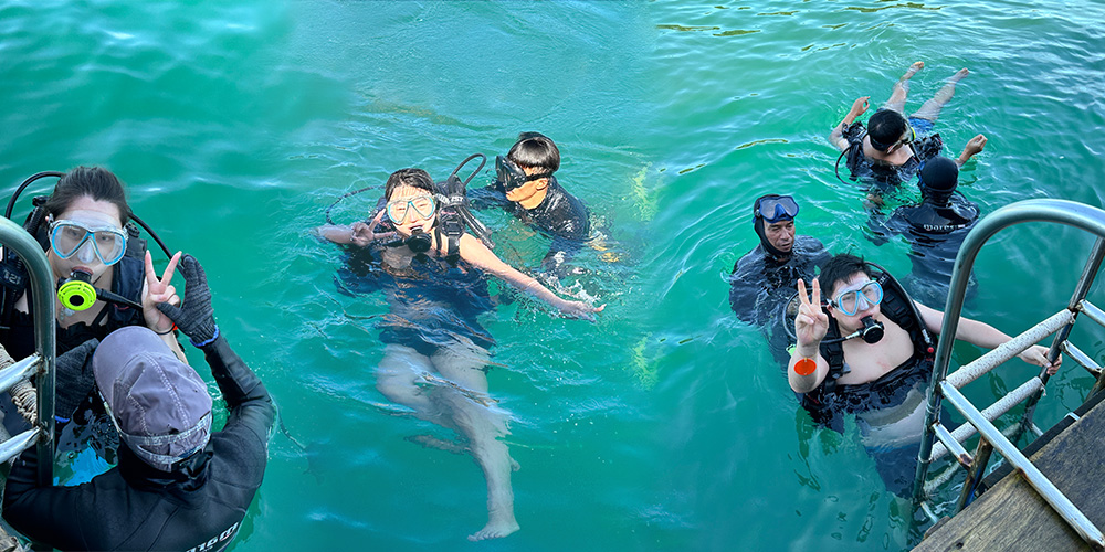 人才招聘（images 15）